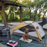 Review photo of Midway by Nancy K., November 21, 2025