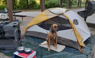 Nancy K.'s photo of camping with pets at Midway near Waco Lake