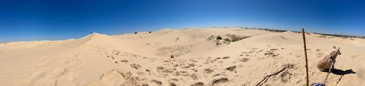 Ashley R.'s photo of camping with pets at Monahans Sandhills State Park Campground near Odessa, TX