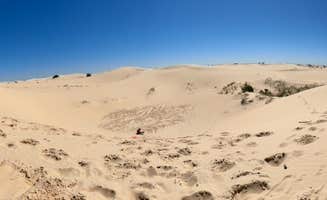 Ashley R.'s photo of camping with pets at Monahans Sandhills State Park Campground near Mentone, TX