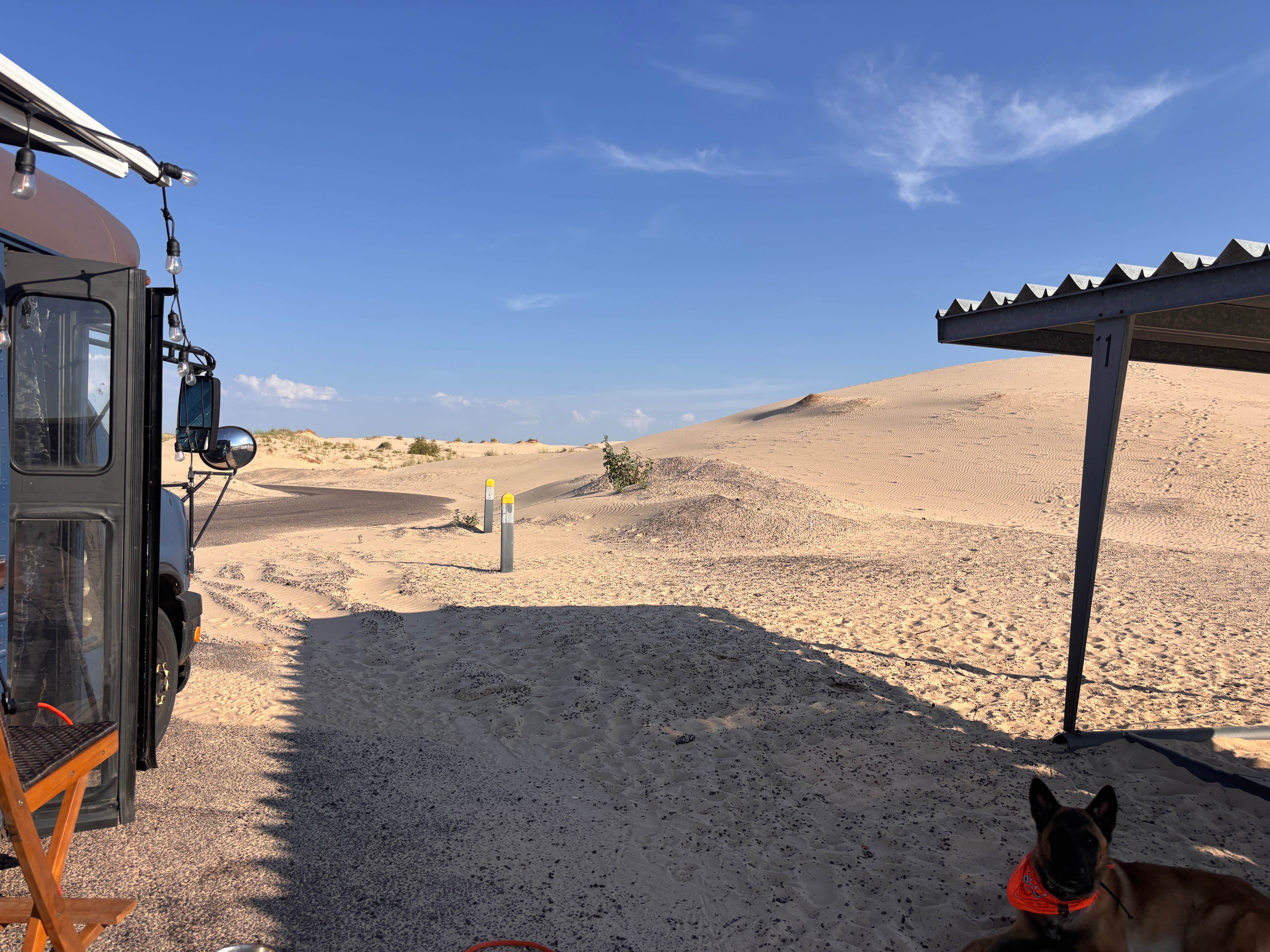 Zoey T.'s photo of camping with pets at Monahans Sandhills State Park Campground near Gardendale, TX