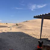 Review photo of Monahans Sandhills State Park Campground by Zoey T., August 13, 2025