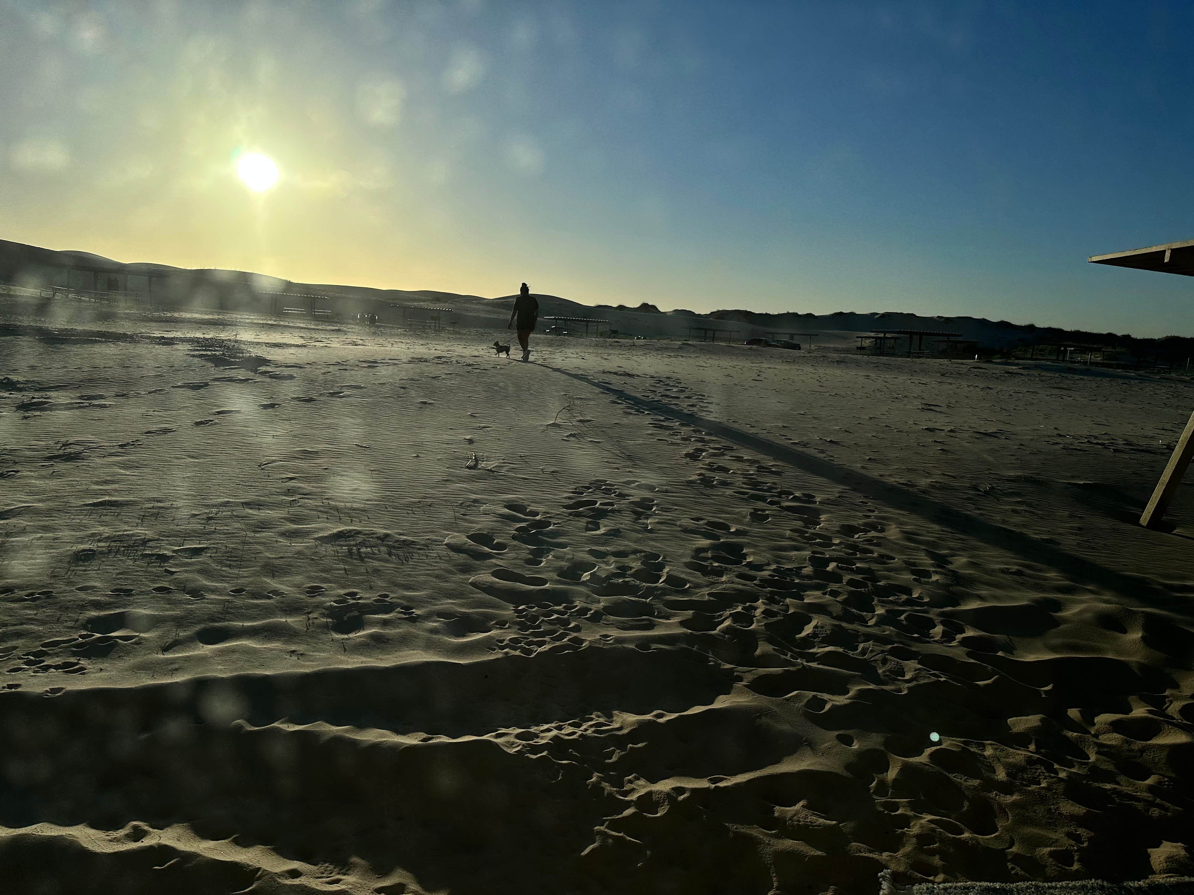Eduardo A.'s photo of camping with pets at Monahans Sandhills State Park Campground near Gardendale, TX