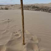 Review photo of Monahans Sandhills State Park Campground by Nathan S., April 14, 2024