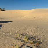 Review photo of Monahans Sandhills State Park Campground by Brian B., August 26, 2026