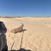 Review photo of Monahans Sandhills State Park Campground by Ashley R., April 24, 2025