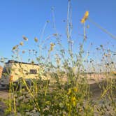 Review photo of Monahans Sandhills State Park Campground by Amanda J., September 26, 2026