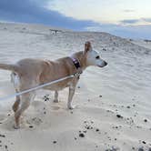 Review photo of Monahans Sandhills State Park Campground by Ashley R., April 24, 2025