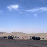 Review photo of Monahans Sandhills State Park Campground by Michelle R., March 7, 2026