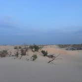 Review photo of Monahans Sandhills State Park Campground by Zoey T., August 13, 2025