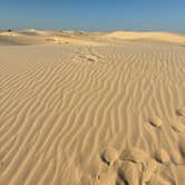 Review photo of Monahans Sandhills State Park Campground by Brian B., August 26, 2026