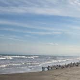 Review photo of Mustang Island State Park Campground by Shawn S., April 29, 2026
