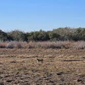 Review photo of Mustang Island State Park Campground by Shawn S., April 29, 2026