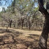 Review photo of Pedernales Falls State Park Campground by Red S., March 7, 2025