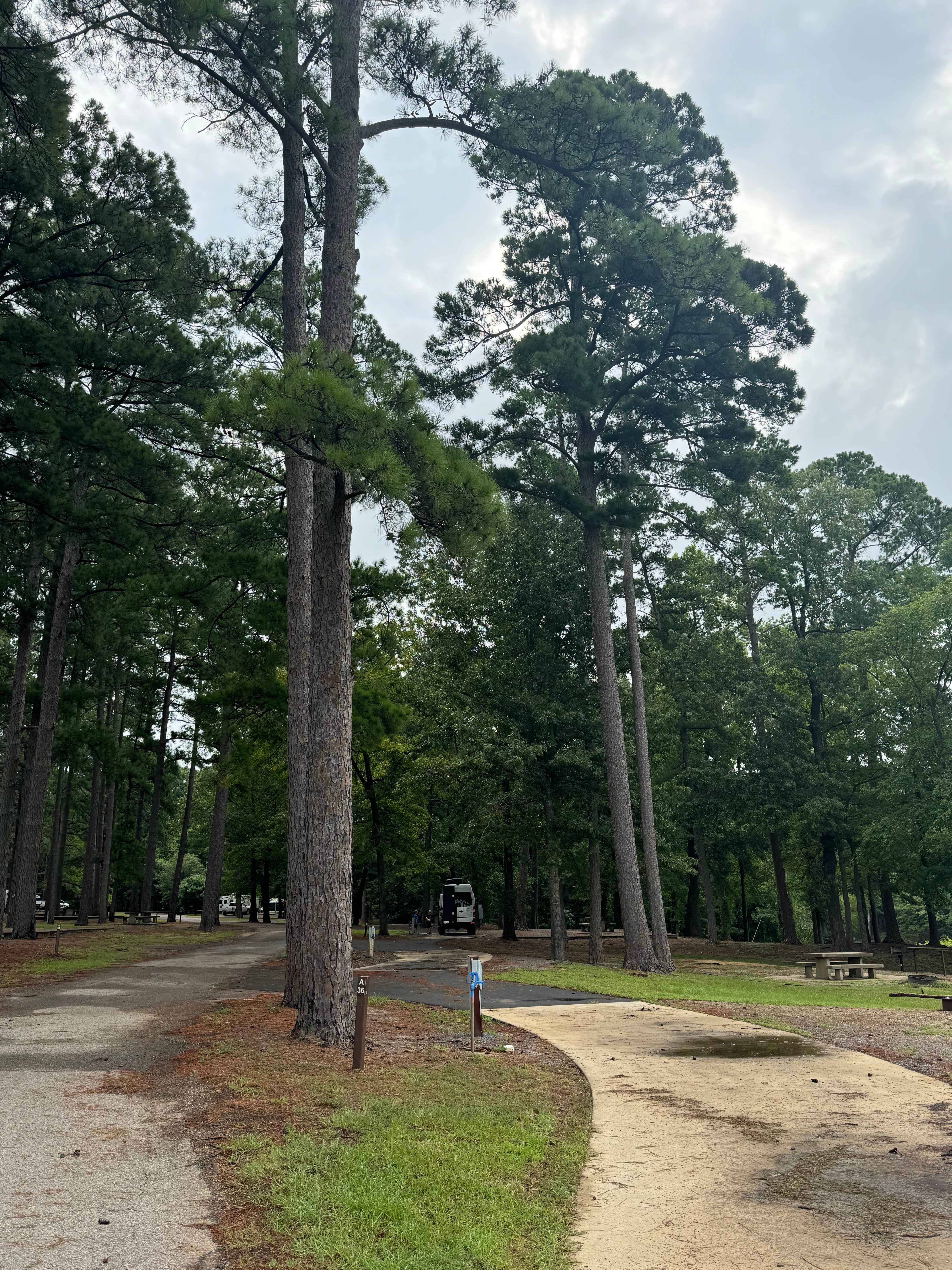 Camper-submitted photo at Piney Point near Queen City, TX