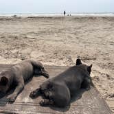 Review photo of Port Aransas Permit Beach by robert K., May 9, 2026