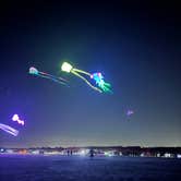 Review photo of Port Aransas Permit Beach by Marilyn B., February 15, 2026