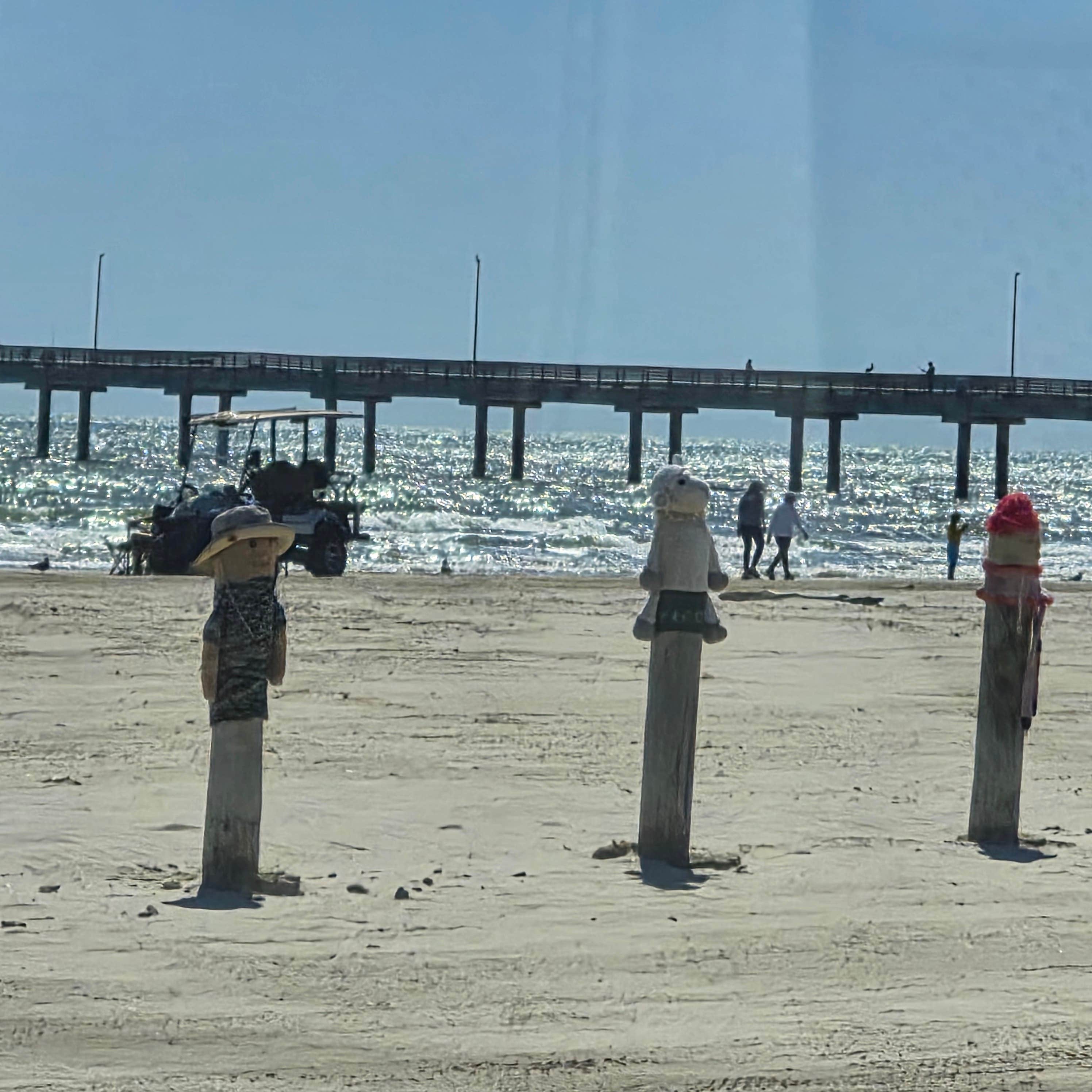 Dawn D.'s photo of a dispersed camping area at Port Aransas Permit Beach near Padre Island National Seashore