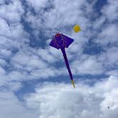 Review photo of Port Aransas Permit Beach by Marilyn B., February 15, 2026