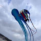 Review photo of Port Aransas Permit Beach by Marilyn B., February 15, 2026