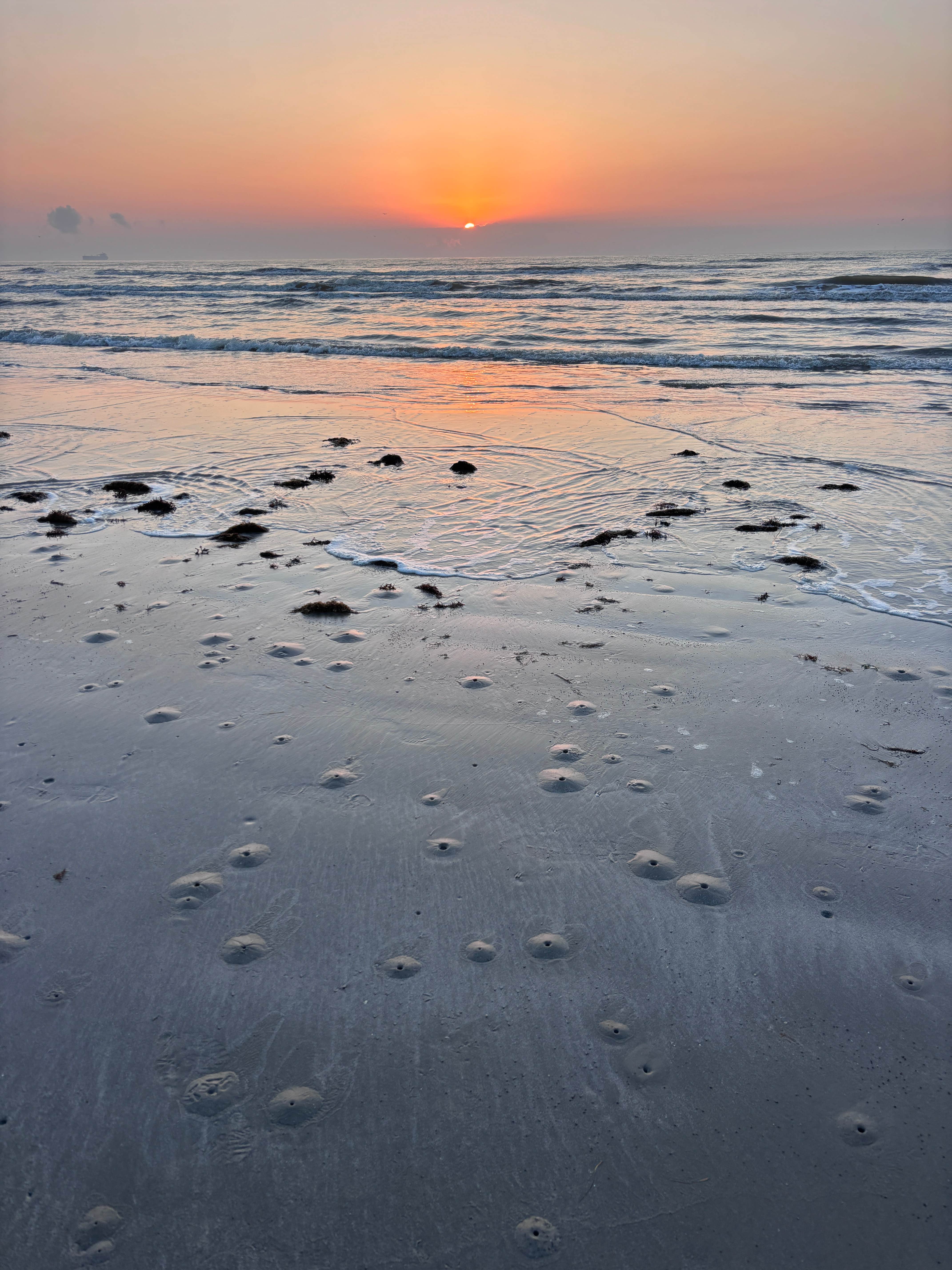 Marilyn B.'s photo of a dispersed camping area at Port Aransas Permit Beach near Padre Island National Seashore