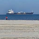 Review photo of Port Aransas Permit Beach by Dawn D., February 12, 2026