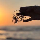 Review photo of Port Aransas Permit Beach by Marilyn B., February 15, 2026