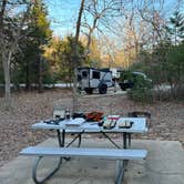 Review photo of Purtis Creek State Park Campground by David R., December 23, 2024