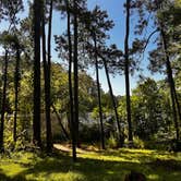 Review photo of Ratcliff Lake Recreation Area by Alana B., July 8, 2025