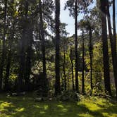 Review photo of Ratcliff Lake Recreation Area by Alana B., July 8, 2025