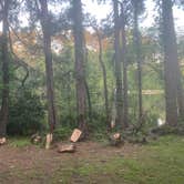 Review photo of Ratcliff Lake Recreation Area by Heather S., April 27, 2025