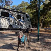 Review photo of Isle du Bois Campsites — Ray Roberts Lake State Park by David B., September 10, 2026