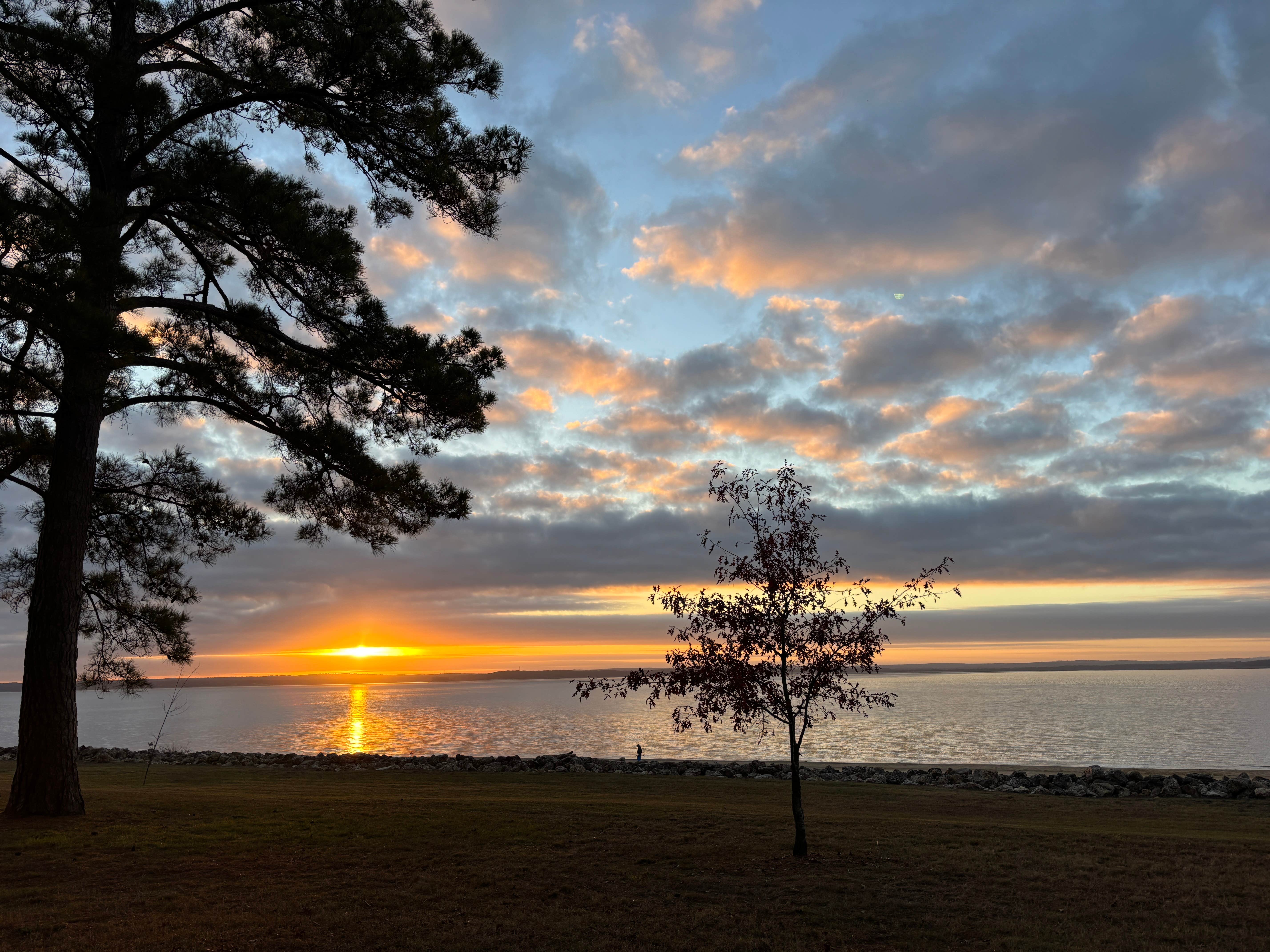 Camper-submitted photo at Rayburn near Pineland, TX