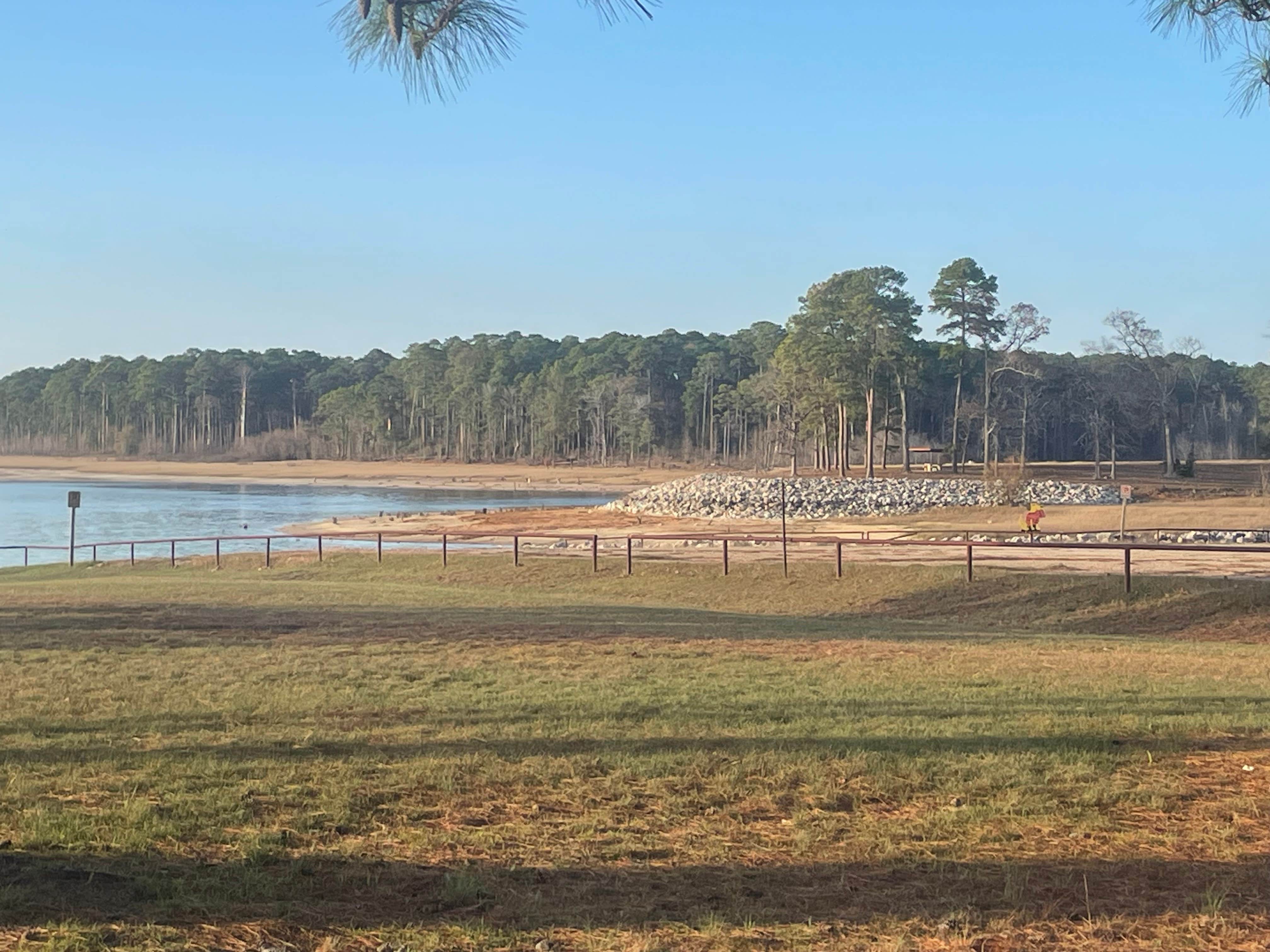 Camper-submitted photo at Rayburn near Pineland, TX