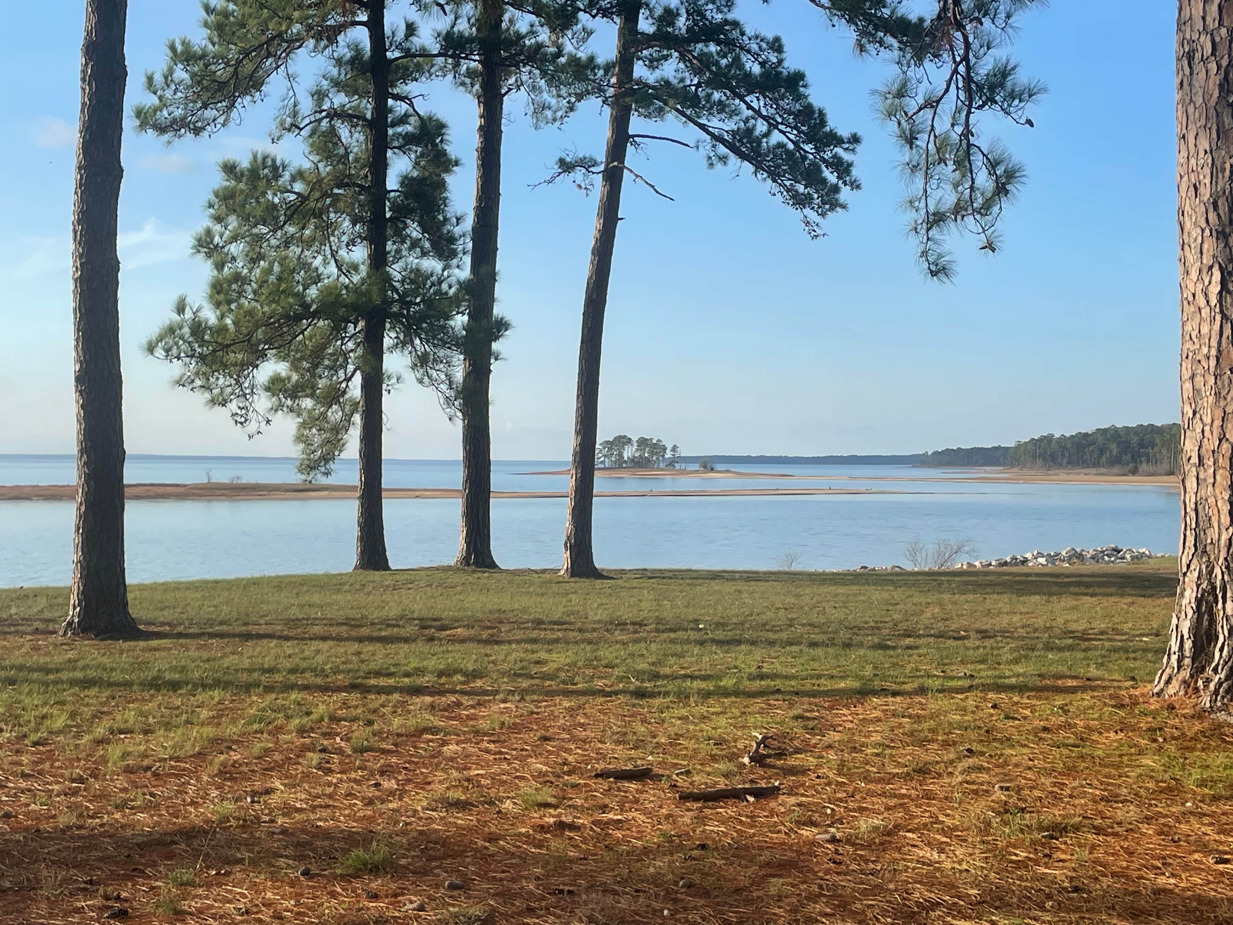 Camper-submitted photo at Rayburn near Pineland, TX