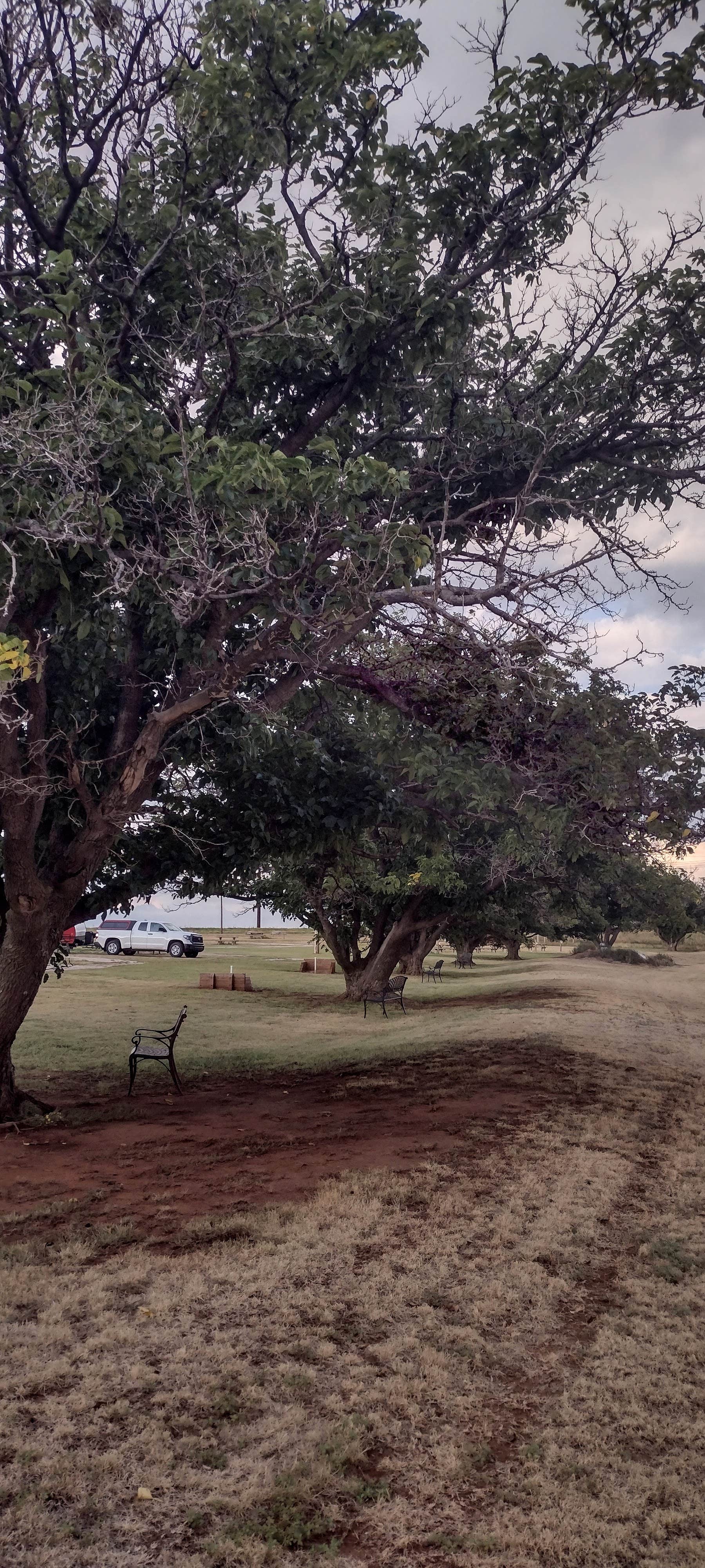 Camper-submitted photo at Texas Route 66 RV Park near Canadian, TX