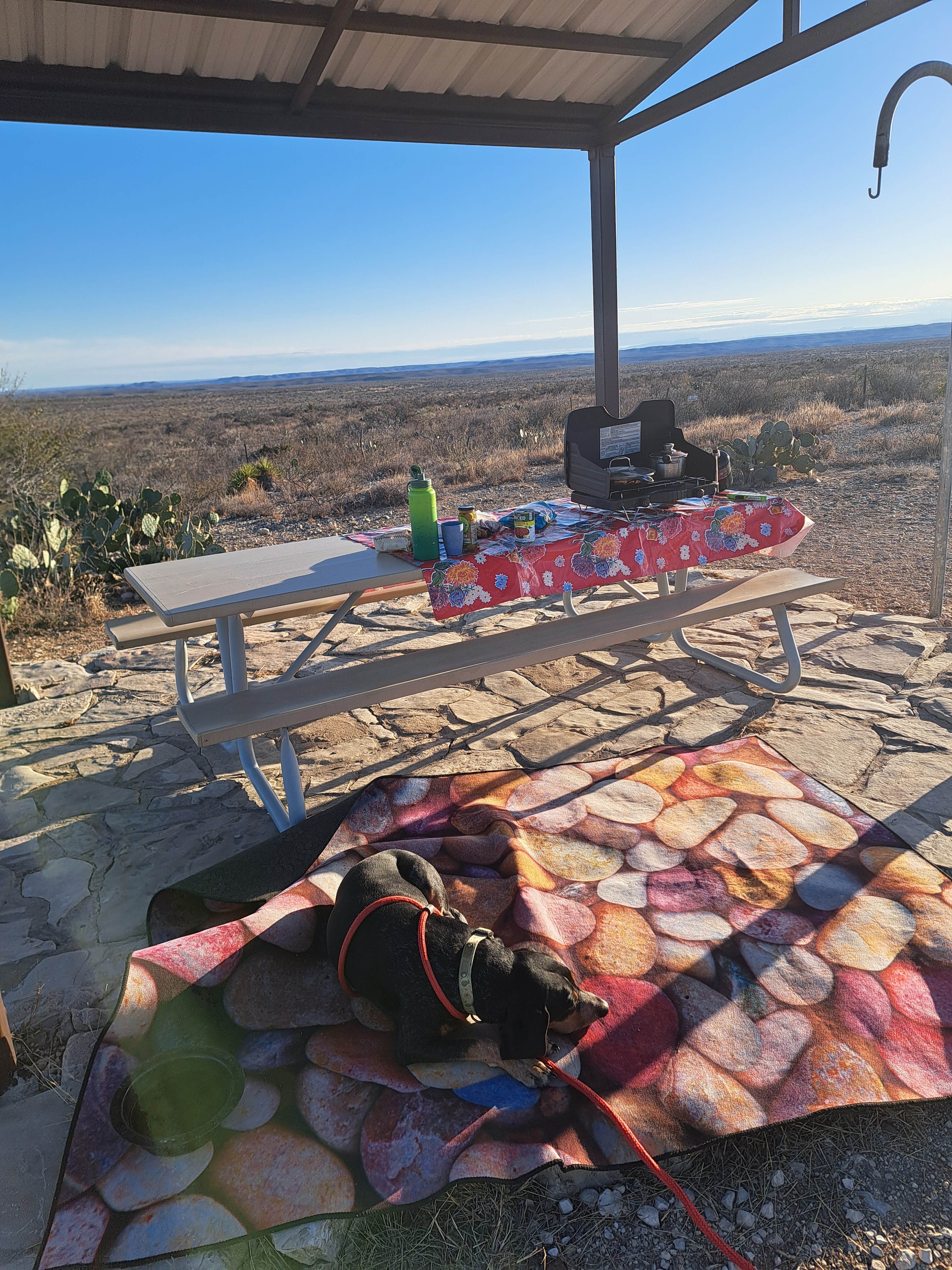 amber H.'s photo of camping with pets at Seminole Canyon State Park Campground near Comstock, TX