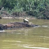 Review photo of South Llano River State Park Campground by Jim P., July 11, 2025