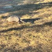 Review photo of South Llano River State Park Campground by Lisa M., October 20, 2025