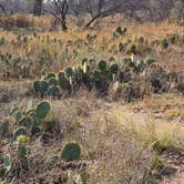 Review photo of South Llano River State Park Campground by Carolyn , November 20, 2025