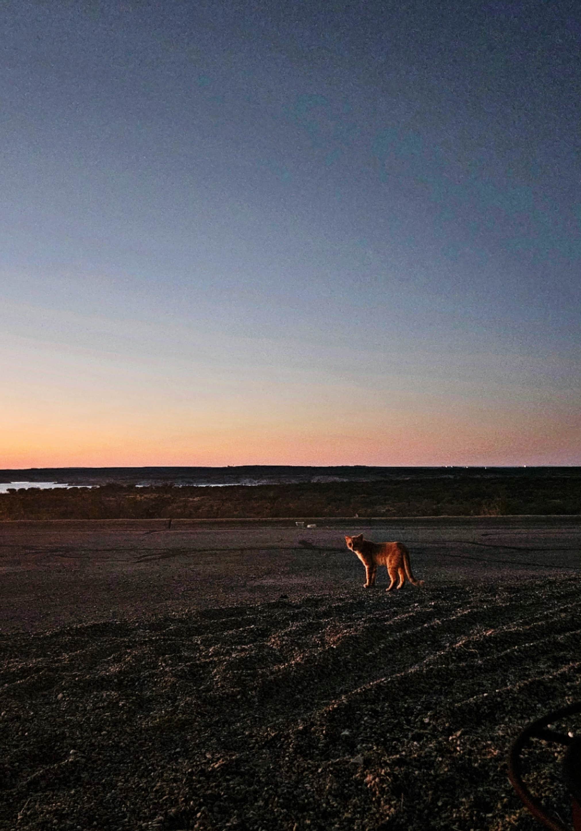 Camper-submitted photo at Southwinds Marina on Lake near Del Rio, TX