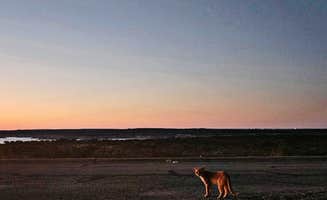 Galyna C.'s photo of camping with pets at Southwinds Marina on Lake near Brackettville, TX
