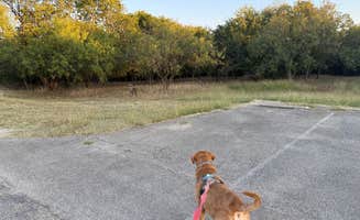 Jim P.'s photo of camping with pets at Speegleville Park near Belton Lake