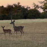 Review photo of Speegleville Park by Jim P., February 21, 2026