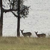 Review photo of Speegleville Park by Jim P., February 21, 2026