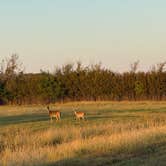 Review photo of Speegleville Park by Jim P., February 21, 2026