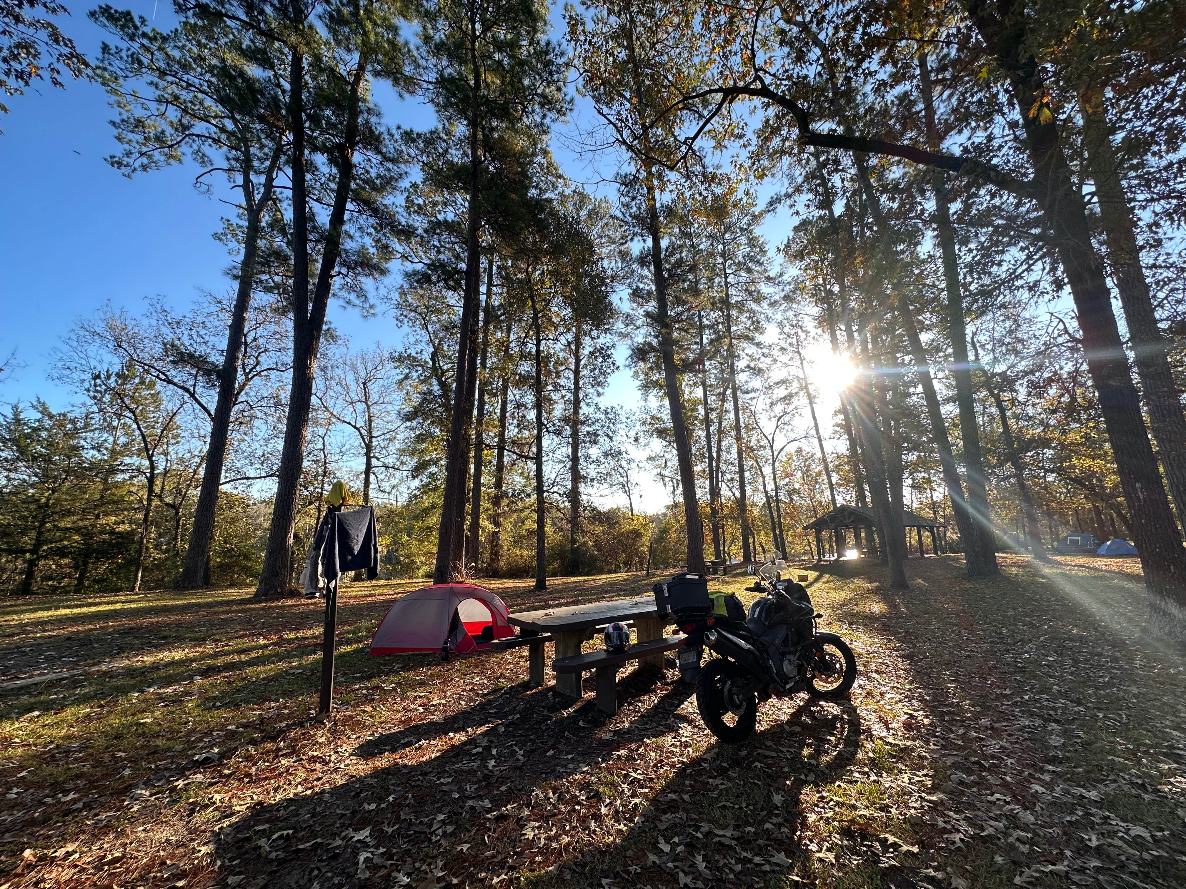 Rodrigo D.'s photo at Stubblefield Lake Recreation Area near Washington, TX