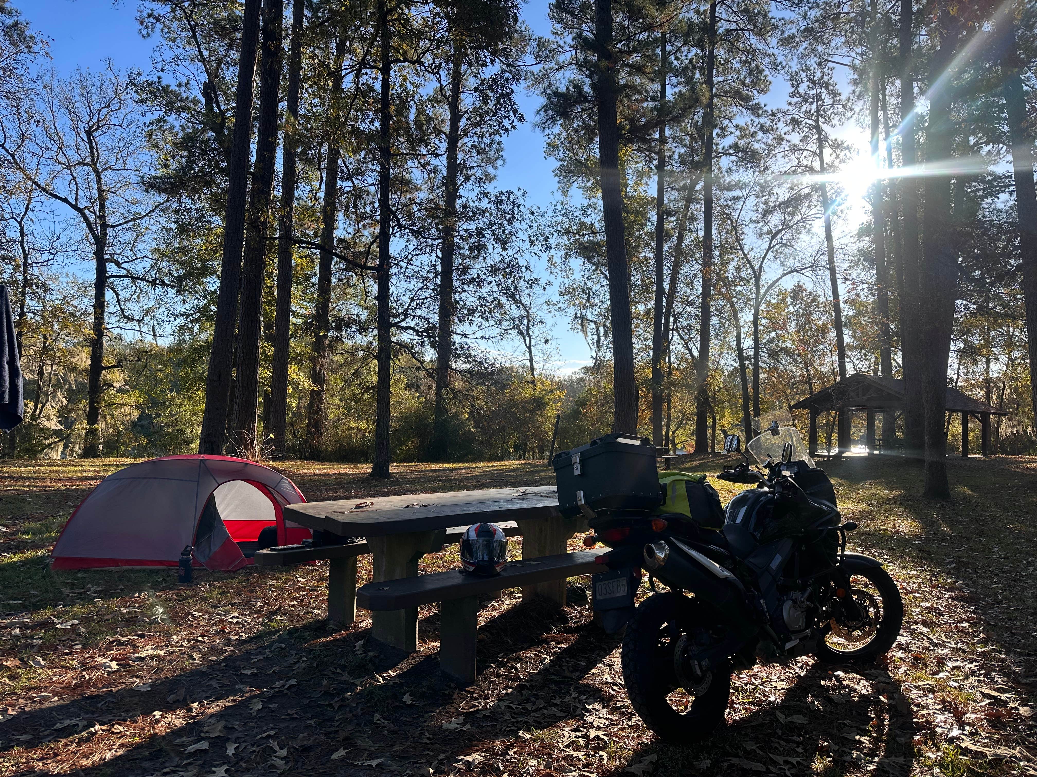 Rodrigo D.'s photo at Stubblefield Lake Recreation Area near Washington, TX