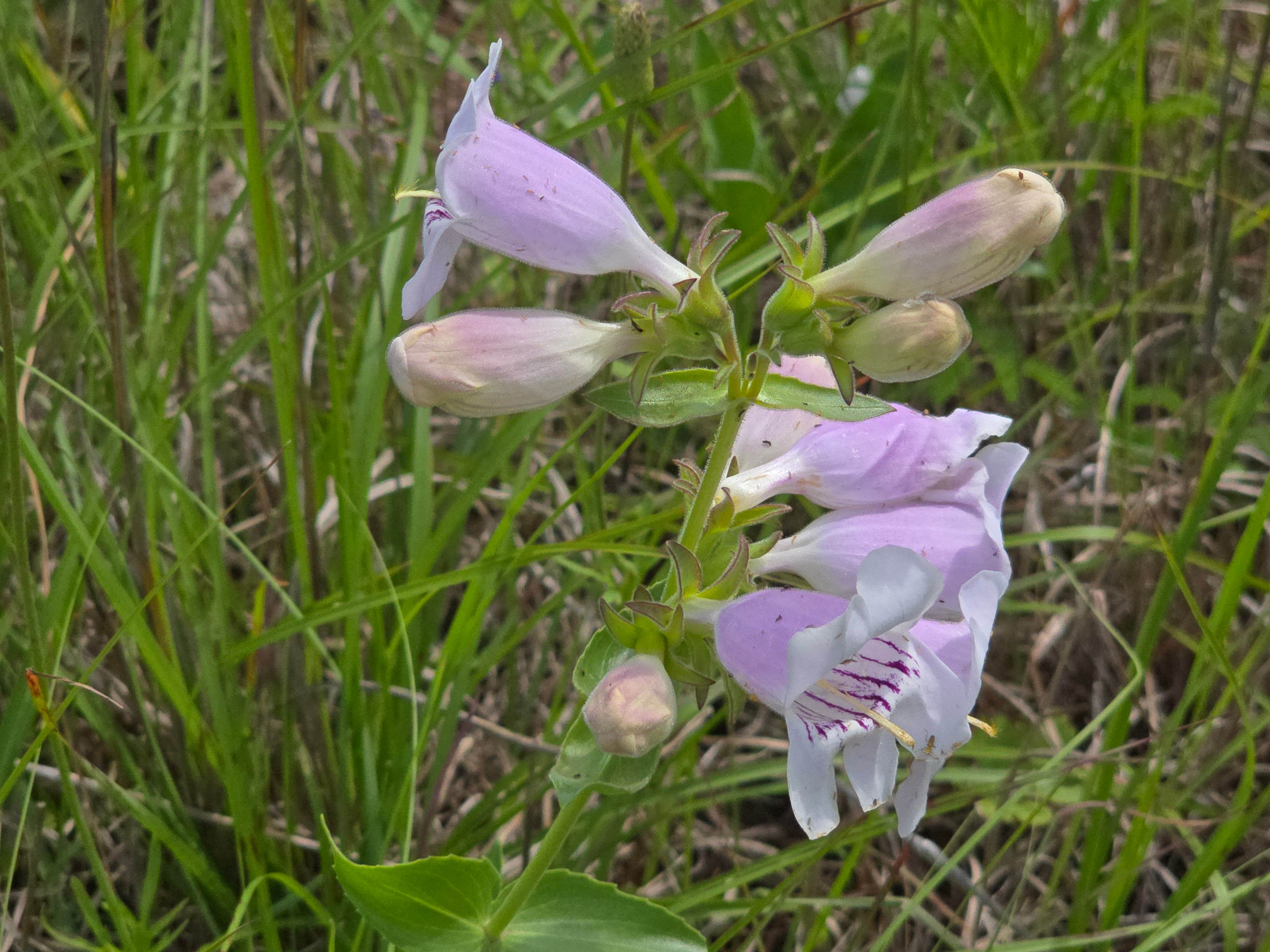 Camper-submitted photo at Taylor near Cameron, TX