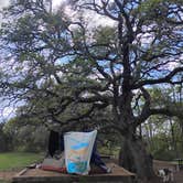 Review photo of Tejas Park by Julie K., March 13, 2026